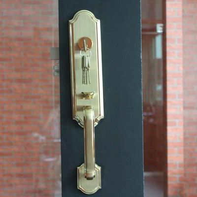 HIGH QUALITY STAINLESS STEEL DOOR LOCKS WITH PLATE